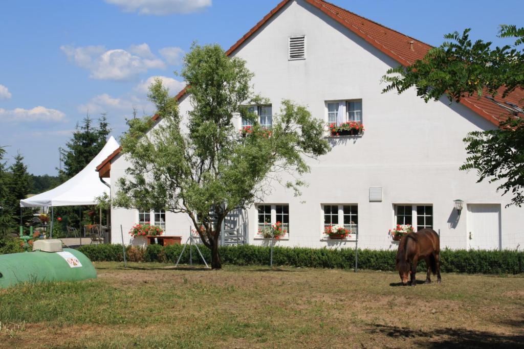 Hotel-Pension Am Muehlberg Lübbenau Chambre photo